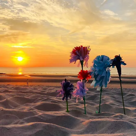 Maison Nausikaa אוסטנדה