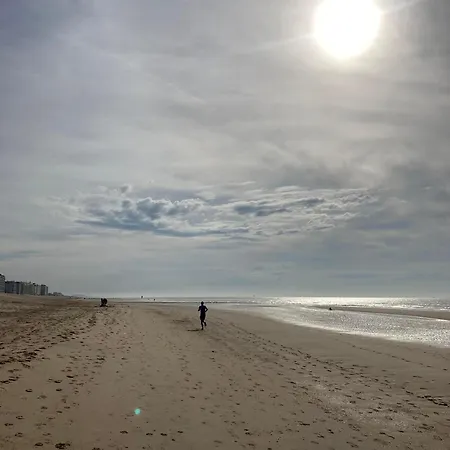 別荘 Maison Nausikaa *