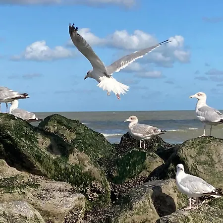 Holiday home Maison Nausikaa